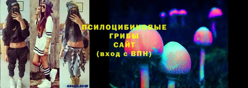 Псилоцибиновые грибы Cubensis  это состав  Кашин  купить   omg вход 